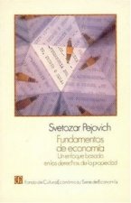 FUNDAMENTOS ECONOMIA UN ENFO.