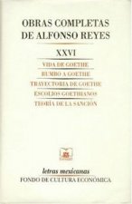 OBRAS C. A. REYES XXVI