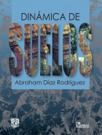 DINAMICA DE SUELOS