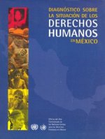 Diagnóstico sobre la situación de los derechos humanos en México