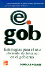 E GOB ESTRATREGIAS PARA USO EFICIENTE INTERNET GOBIERNO