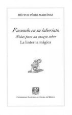 Facundo en su laberinto