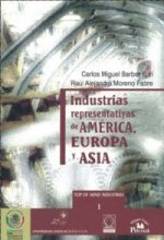 INDUSTRIAS REPRESENTATIVAS DE AMERICA EUROPA Y ASIA