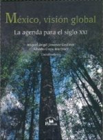 MEXICO VISION GLOBAL