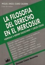FILOSOFIA DEL DERECHO EN EL MERCOSUR,