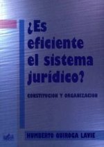 ES EFICIENTE EL SISTEMA JURIDICO