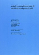 PRACTICA ARQUITECTONICA III. ARCHITECTURAL PRACTICE III