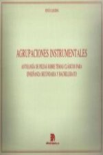 AGRUPACIONES INSTRUMENTALES