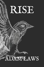 Rise