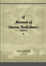 Moment of Sincere Foolishness