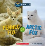 Fennec Fox or Arctic Fox (Wild World)