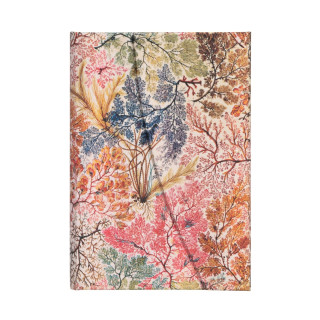 Anemone Mini