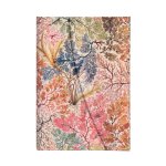 Anemone Mini