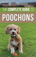 Complete Guide to Poochons