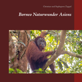 Borneo Naturwunder Asiens
