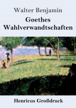 Goethes Wahlverwandtschaften (Grossdruck)