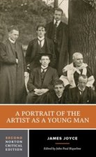 Portrait of the Artist as a Young Man