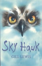 Rollercoasters: Sky Hawk  (Pack)