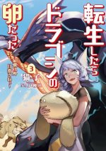 Reincarnated as a Dragon Hatchling (Light Novel) Vol. 3