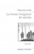 bonne longueur de meche
