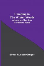 Camping In The Winter Woods