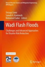 Wadi Flash Floods