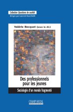 Des professionnels pour les jeunes. Sociologie d'un monde fragmenté