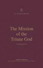 Mission of the Triune God