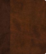 ESV Journaling Bible