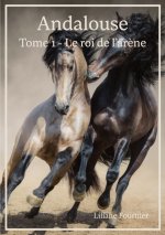 Andalouse, tome 1