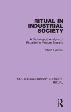 Ritual in Industrial Society