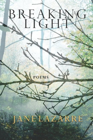 Breaking Light