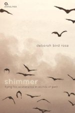 Shimmer