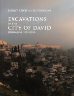 Excavations in the City of David, Jerusalem (1995-2010)