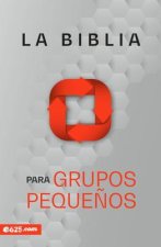 Biblia Para Grupos Peque?os - Nbv Rústica