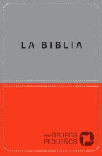 Biblia Para Grupos Peque?os - Nbv Lujo