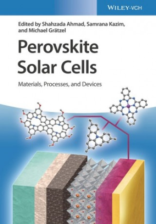 Perovskite Solar Cells