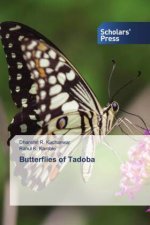 Butterflies of Tadoba