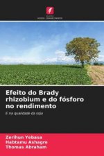 Efeito do Brady rhizobium e do fosforo no rendimento