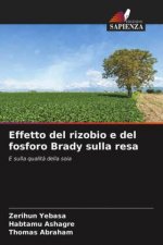 Effetto del rizobio e del fosforo Brady sulla resa