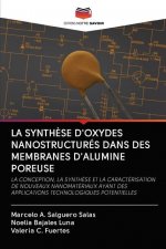 Synthese d'Oxydes Nanostructures Dans Des Membranes d'Alumine Poreuse