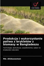 Produkcja i wykorzystanie paliwa z brykietow z biomasy w Bangladeszu
