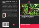 Cultura da beterraba sacarina no Quenia