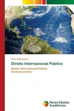 Direito Internacional Publico