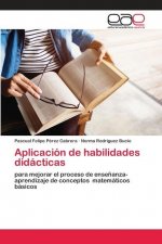 Aplicacion de habilidades didacticas
