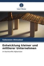 Entwicklung kleiner und mittlerer Unternehmen