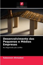 Desenvolvimento das Pequenas e Medias Empresas