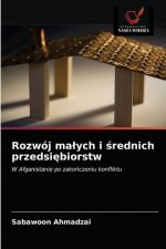 Rozwoj malych i średnich przedsiębiorstw