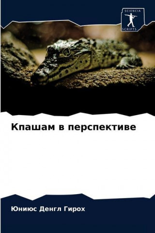 Кпашам в перспективе