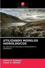 Utilizando Modelos Hidrologicos